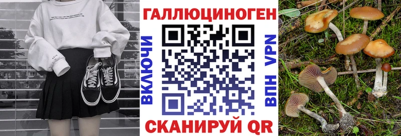 мега ссылка Сураж Галлюциногенные грибы мицелий купить наркоту