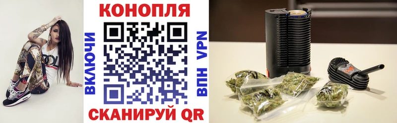 ссылка на мегу зеркало  Сураж  Бошки марихуана Bruce Banner 